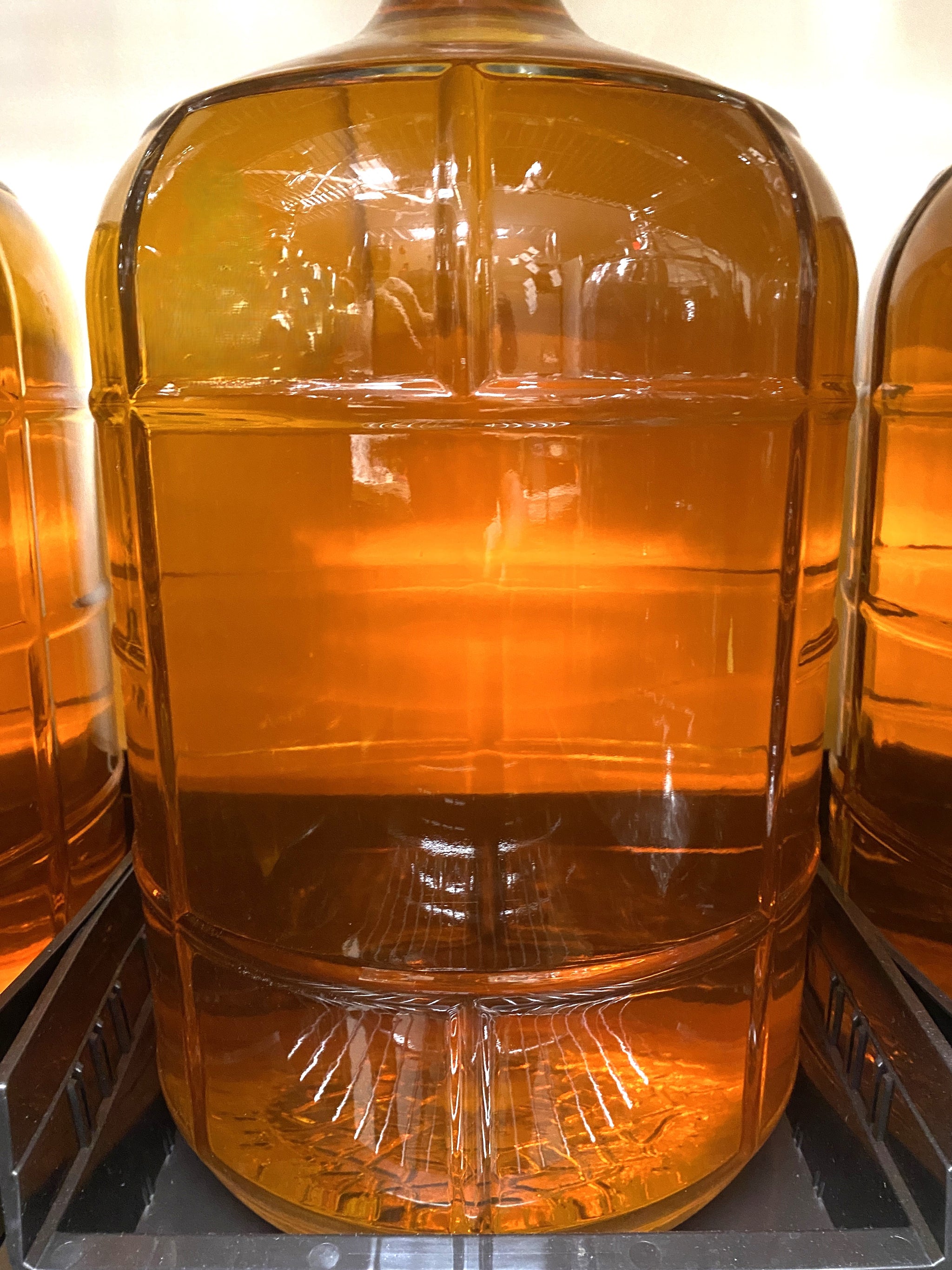 Petit Manseng 2025