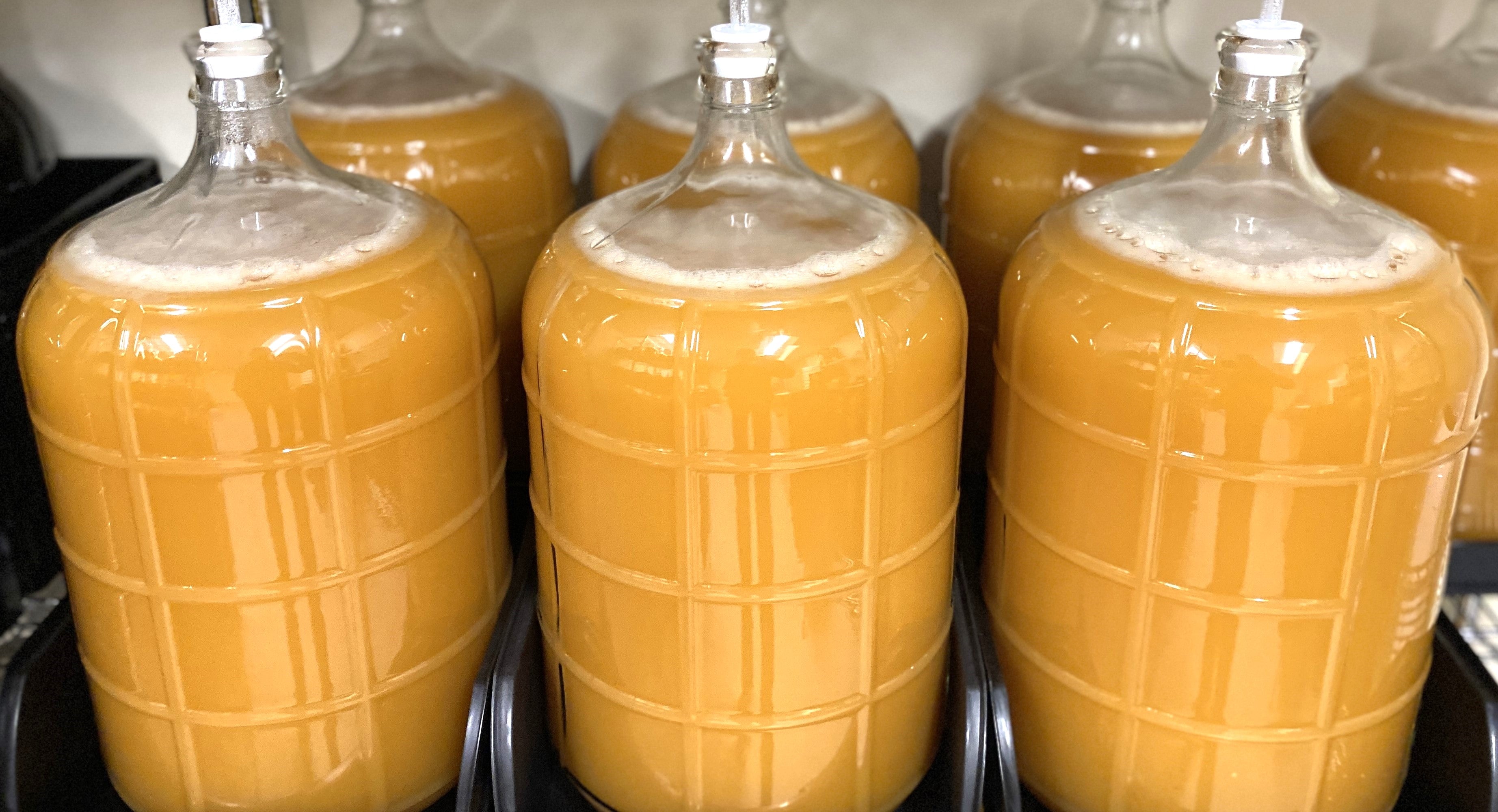 Fuji Apple Wine 2024